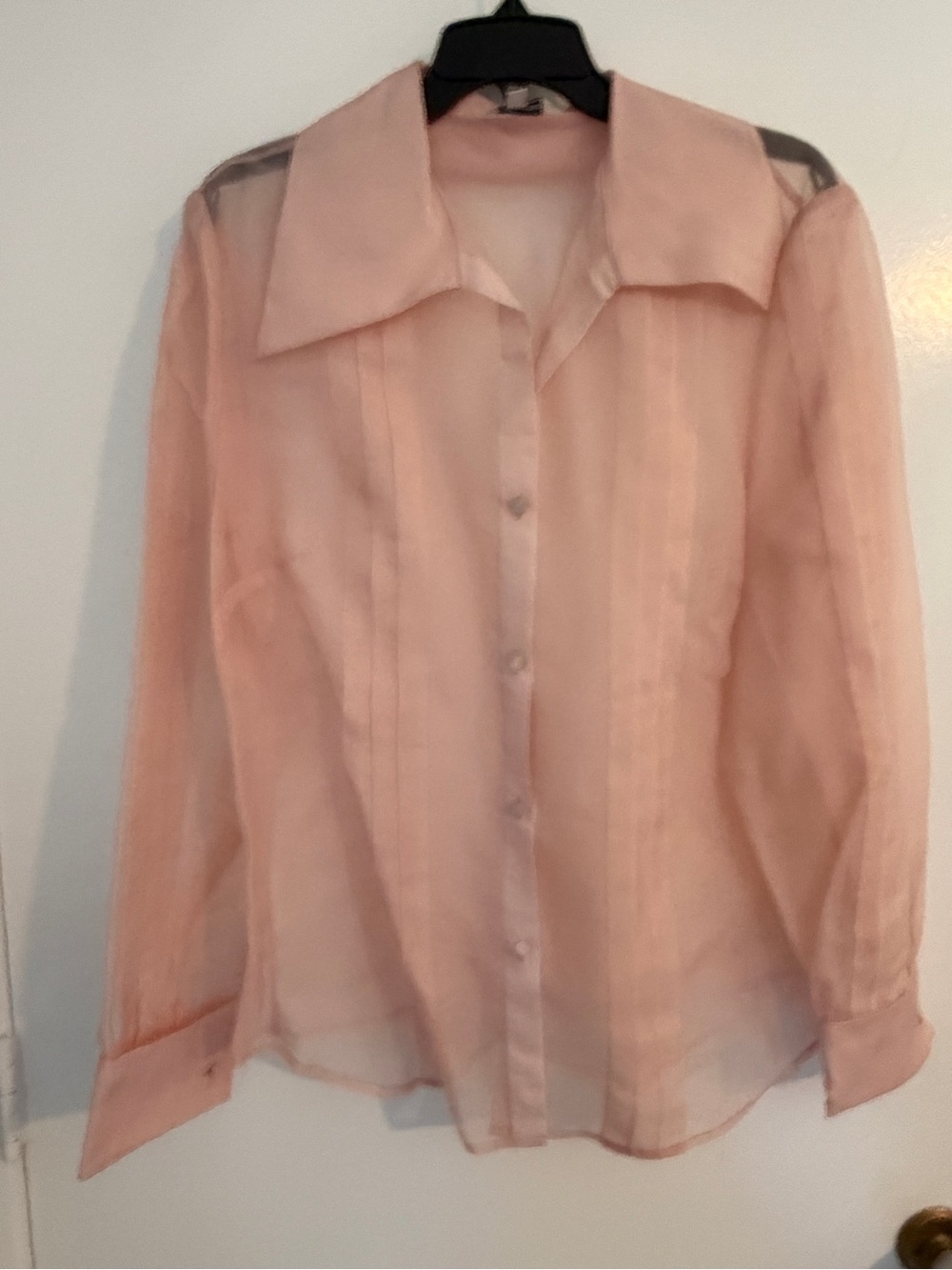 J. Peterman Sheer Blush Pink Pintuck Button-Down Blouse